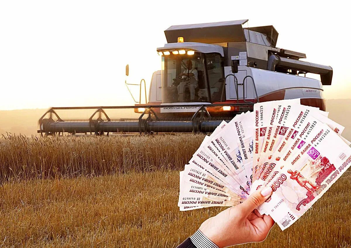 Налог на профессиональный доход