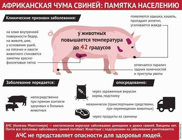 Внимание!