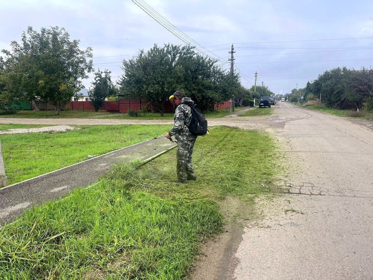 Покос сорной растительности