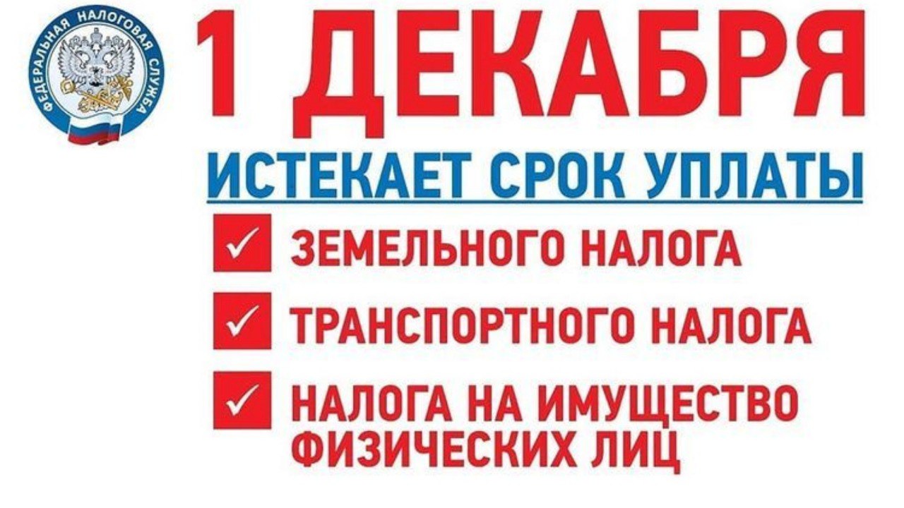 Оплата имущественных налогов