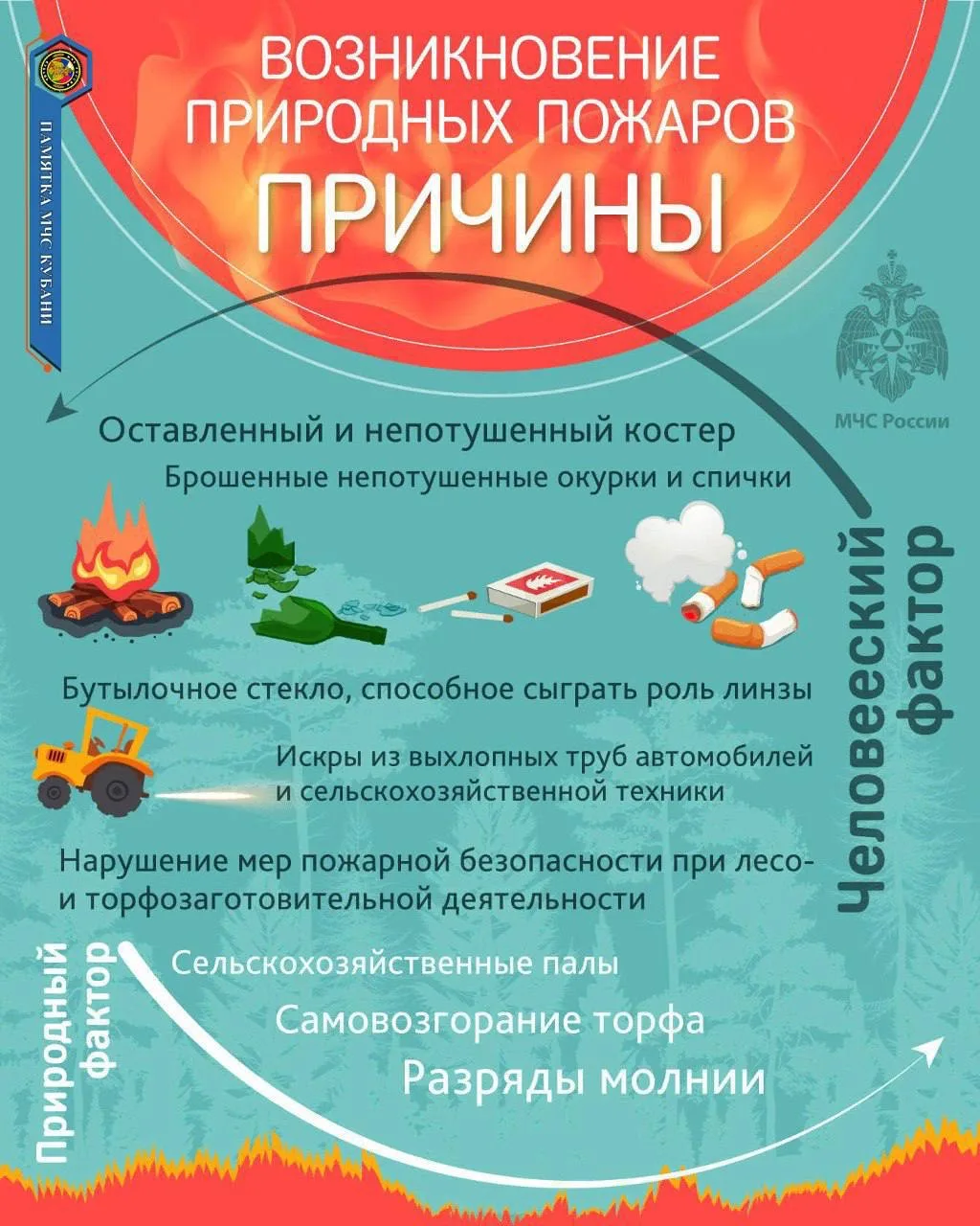 Причины природных пожаров и как их предотвратить!