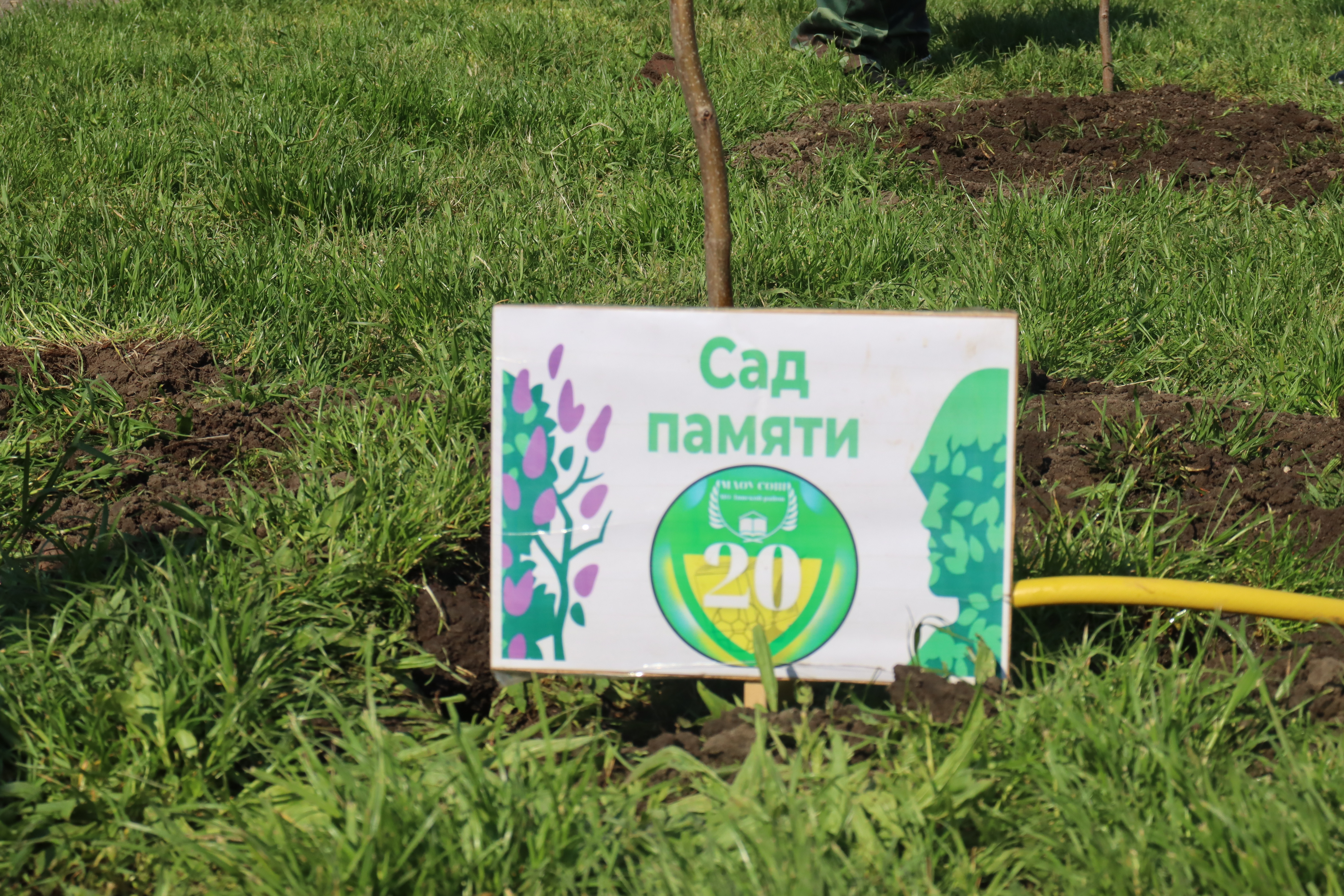 Каждое дерево — живой памятник герою!